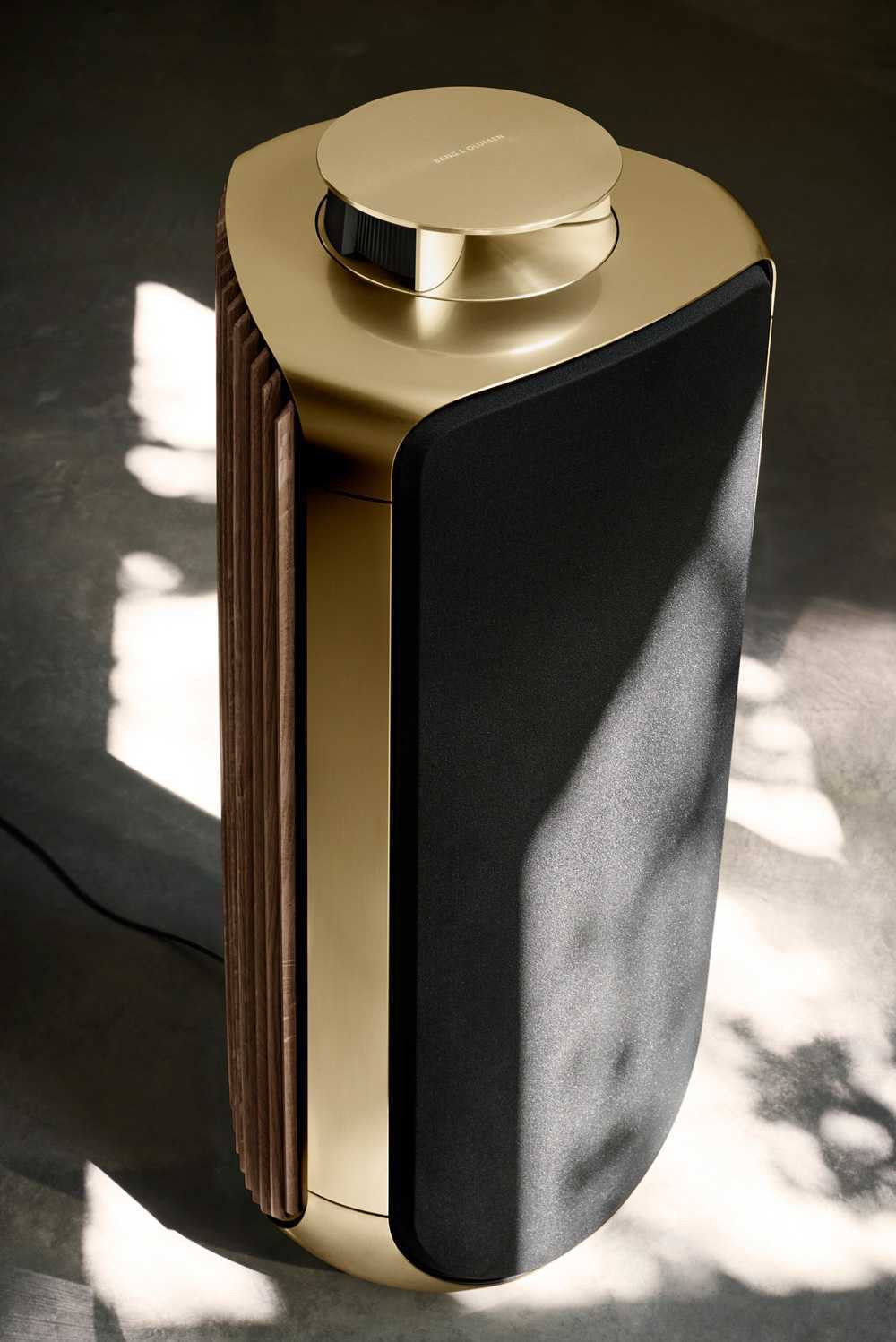 Напольная акустическая система Bang & Olufsen Beolab 50 Brass Tone, Black Cover / Smoked Oak Side Panel – цена, описание и отзывы — фото