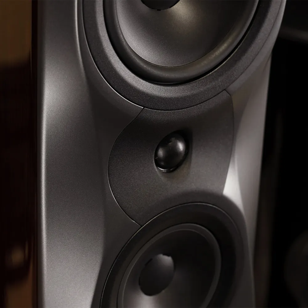 Напольная акустическая система Dynaudio Confidence 30 Ruby wood high gloss – цена, описание и отзывы — фото