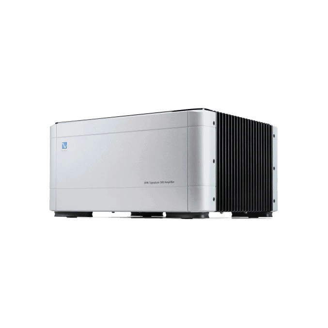 Моно усилитель PS Audio BHK Signature 300 Mono silver – цена, описание и отзывы — фото