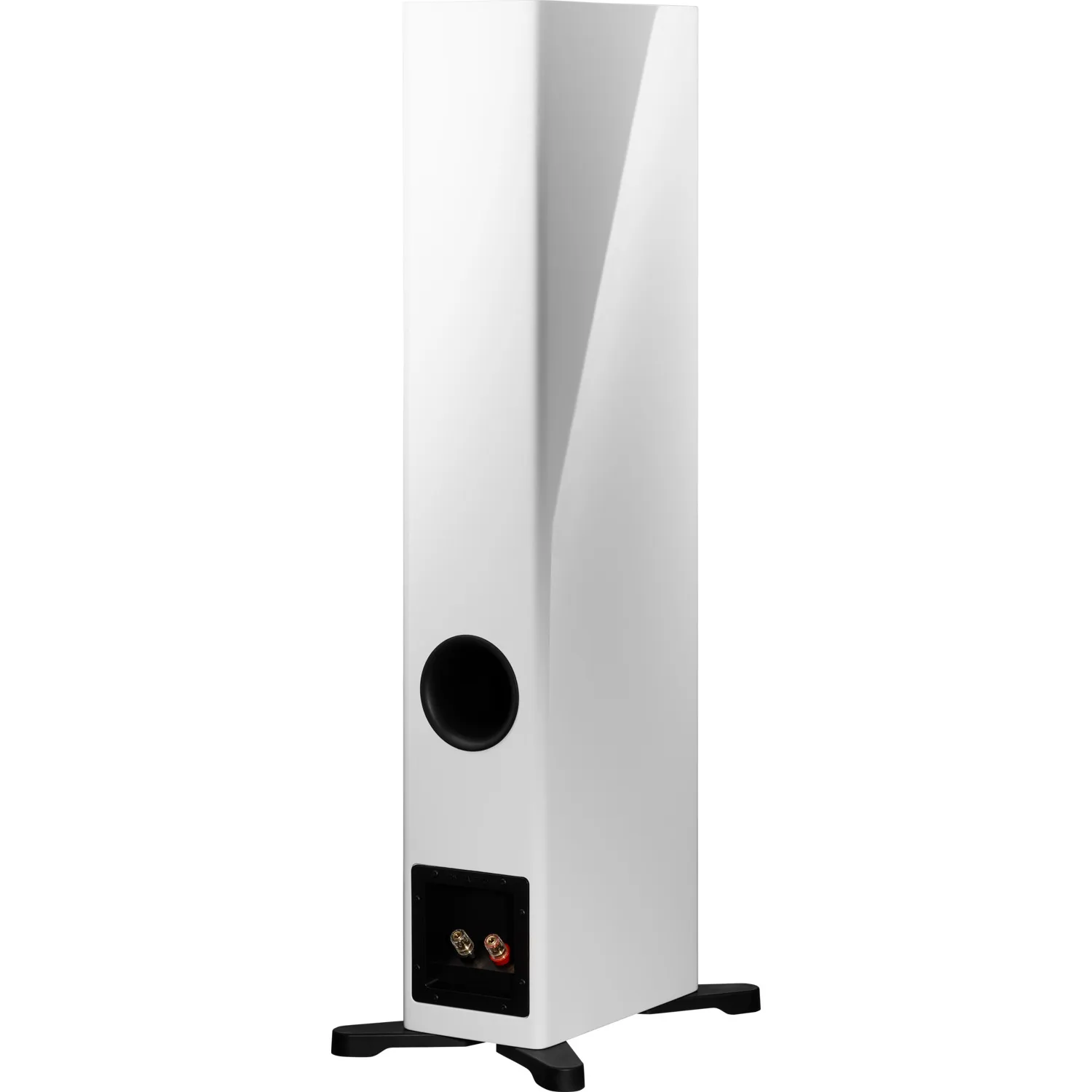 Напольная акустическая система Dynaudio Evoke 30 White high gloss – цена, описание и отзывы — фото