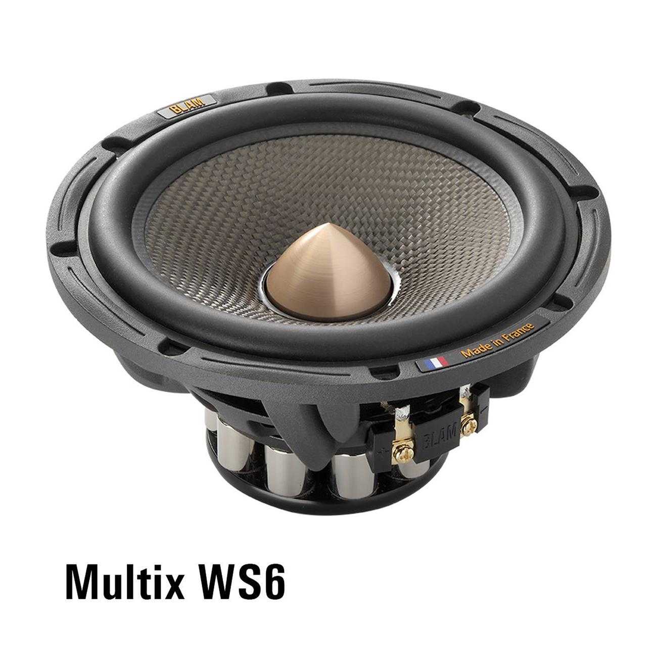  BLAM WS6MULTIX – цена, описание и отзывы — фото