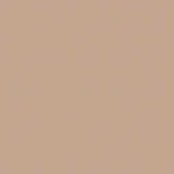 Фотофоны Фон бумажный Falcon Eyes BackDrop 2.72x10 бежевый (26) – цена, описание и отзывы — фото