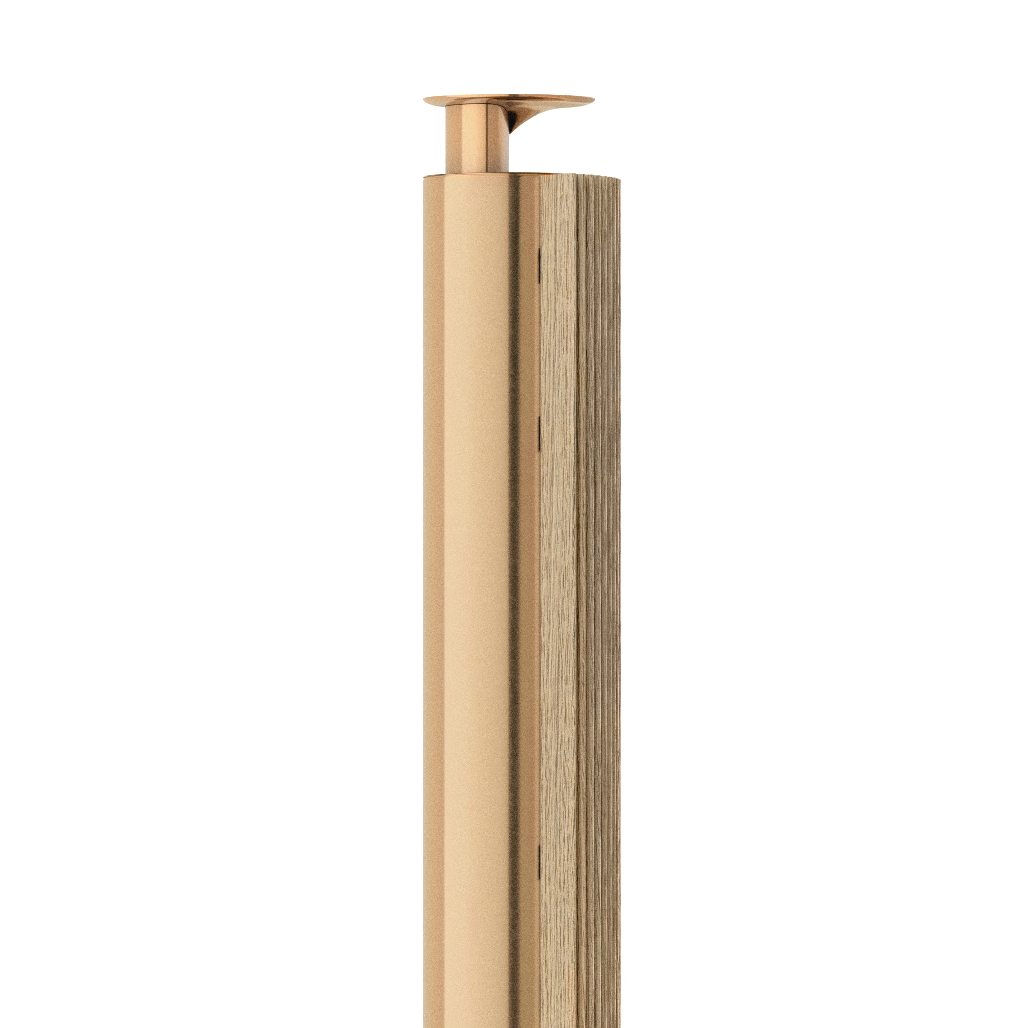 Беспроводная акустическая система Bang & Olufsen Beolab 18 Gold Tone – цена, описание и отзывы — фото