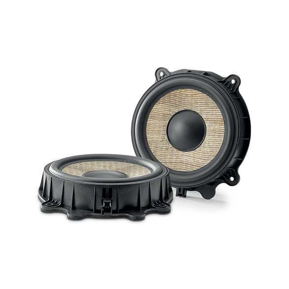  Focal IW T3Y 200 – цена, описание и отзывы — фото