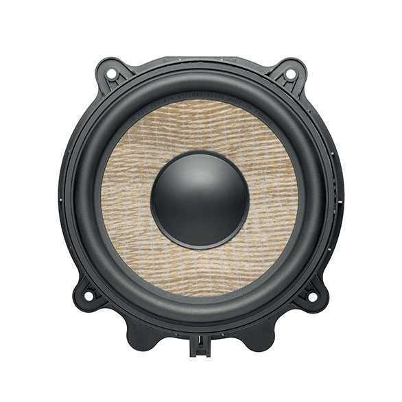  Focal IW T3Y 200 – цена, описание и отзывы — фото