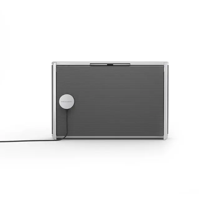 Беспроводная акустическая система Bang & Olufsen Beosound Level Natural/Dark Grey – цена, описание и отзывы — фото