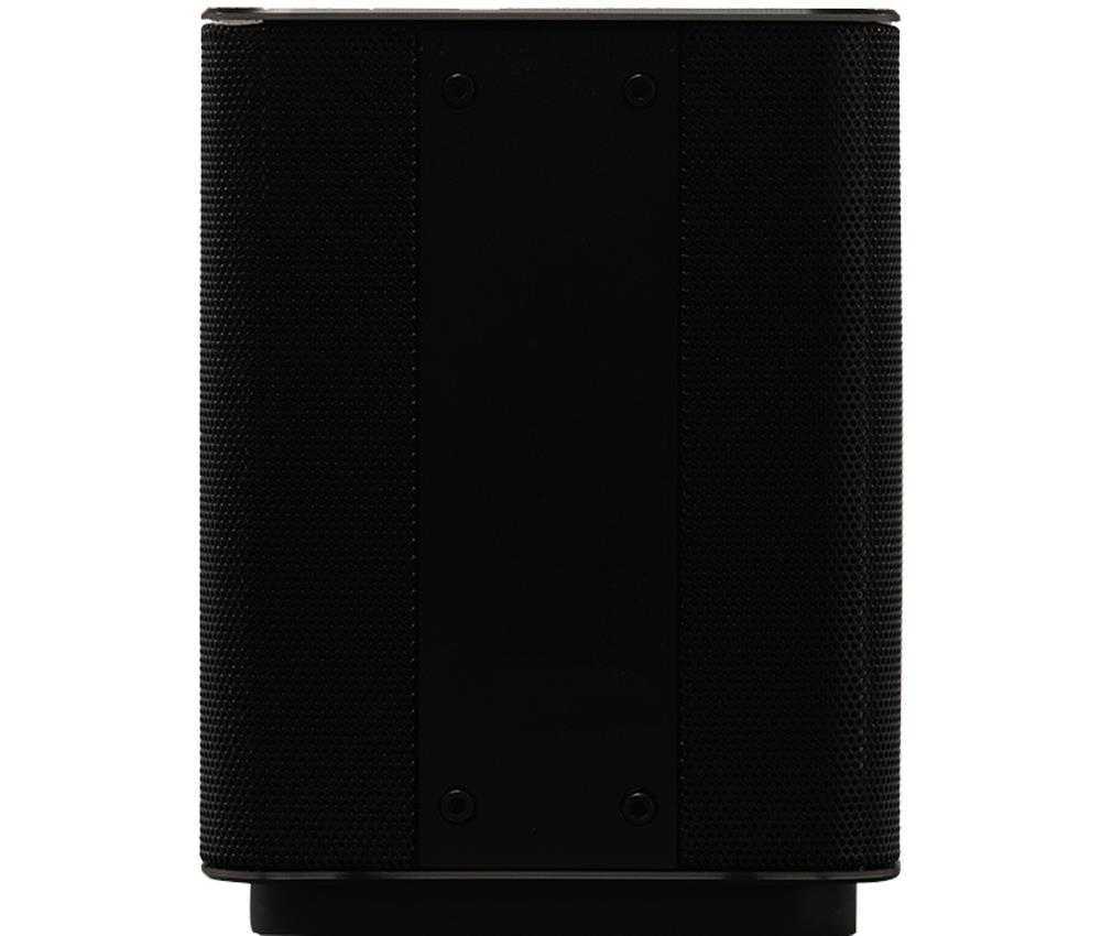 Мультирумная активная акустическая система CIC Audio d.Play 2-Black  – цена, описание и отзывы — фото
