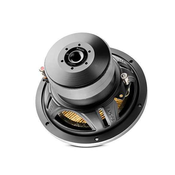  Focal P20FE – цена, описание и отзывы — фото