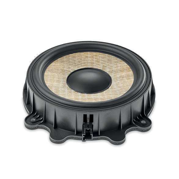  Focal IW T3Y 200 – цена, описание и отзывы — фото